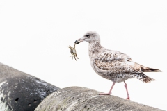 weekend Petten