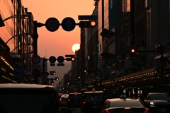 Jaap-DSC_4097-Jaap-Basting