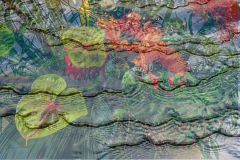 water-en-bloem-expo-kees-de-ruiter