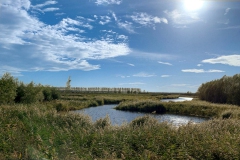 IMG_3965-ZeeuwsVlaanderen-2-Peter-J.-Monsieurs