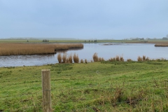 IMG_5157-Zeeuws-Vlaandeen-4-Peter-J.-Monsieurs-1