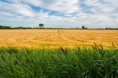 RVL-Zeeuws-Vlaanderen-Ruud-van-Leeuwen