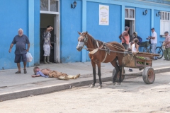 sig-24a-Sigrid-Martin-1-van-1