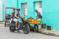 sig-4a-Sigrid-Martin-1-van-1