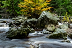 DSC09827b-0247-Joke-Vergouwe