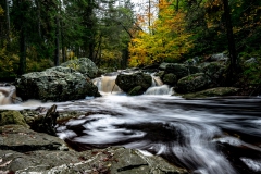 DSC09827b-0269-Joke-Vergouwe