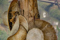 IMG_7976-akopie-kees-de-ruiter-scaled