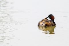 RVL-Expo03-Ruud-van-Leeuwen